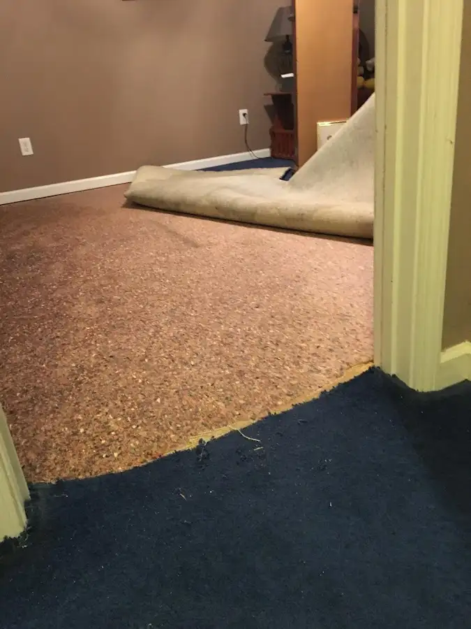 Carpet pad removal revealing water damage during Water Mitigation Services in Thornton